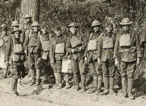 Шер Ами — голубь-герой, получивший боевую награду