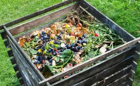 Компостная куча под окнами? Рижская дума объяснила, что теперь разрешено во дворах