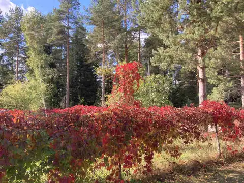 Brīvdienas sāksies ar sausu un vasarīgi siltu laiku
