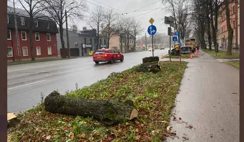 Уточненный прогноз о сильном ветре: когда стихнет буря?