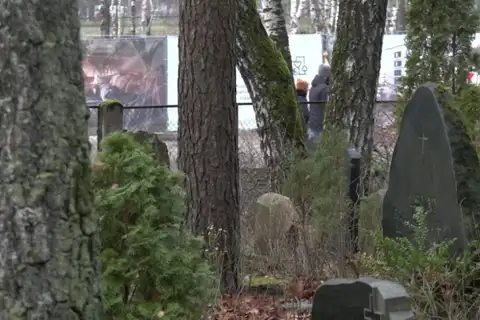 Рижан просят не ходить на кладбища. Там может убить деревом