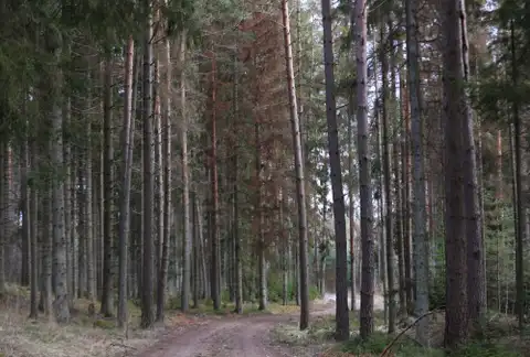 Ceturtdien vietām gaidāmi nelieli nokrišņi