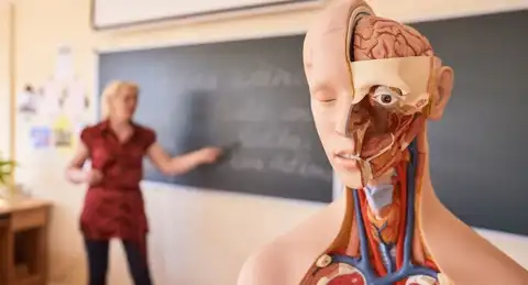 Par valsts valodas nelietošanu pietiekamā apmērā šogad sodīti 144 pedagogi