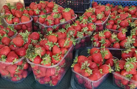Рижанка делится впечатлениями от посещения ночного рынка: какая скупость!