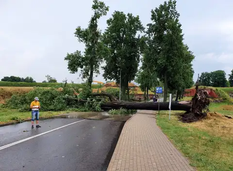 Pirmdien Latvijā iespējami lieli vēja postījumi