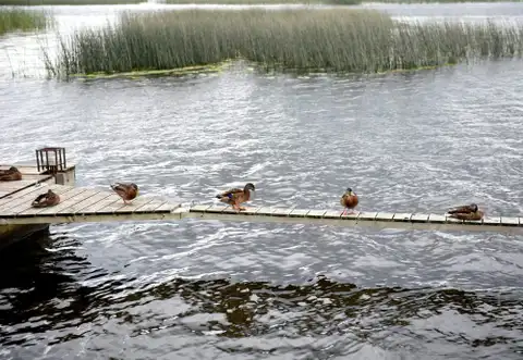 Pirmdien saglabāsies saulains un silts laiks