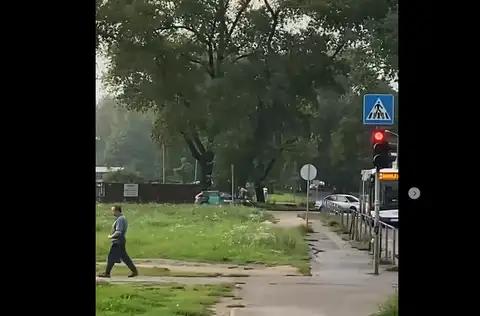 Мужчина проехался на капоте шеринговой машины: в Болдерае возможно и не такое