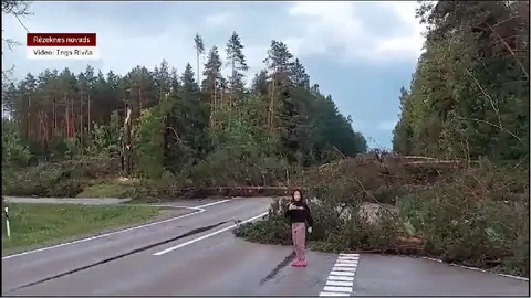 Упавшие деревья полностью перегородили дорогу: буря в Латгалии (ВИДЕО)