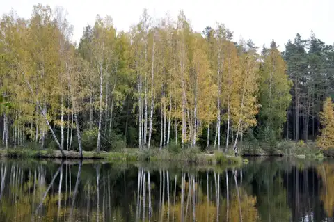 No pirmdienas gaidāmi nokrišņi