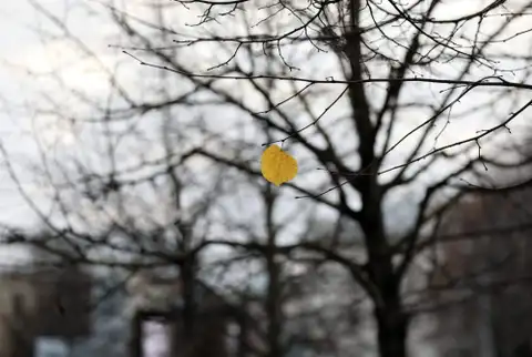 Sestdiena būs mākoņaina un vēsa