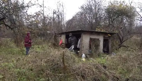 «Даже кролики живут лучше»: неходячей женщине в Риге приходится жить в ветхом садовом домике
