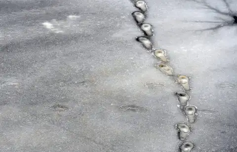 Glābēji palīdz no ledus krastā nonākt diviem bērniem Rīgā