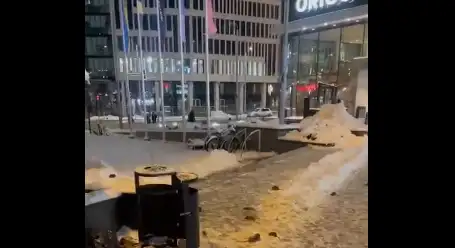 Шокирующее видео с Привокзальной площади Риги: крысы пасутся стаями (ВИДЕО)