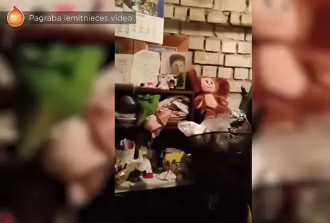 «Она любит жить свободнее»: женщина в Юрмале поселилась в подвале