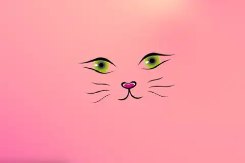 Коты помогут Латвии прорваться к победе на «Евровидении» (ВИДЕО)