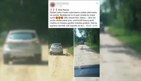 Собака догоняла машину с хозяевами 3 км: очевидцы о диком случае под Олайне