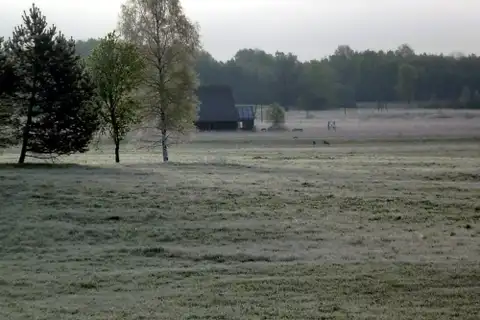 Šonakt gaidāma pirmā rudens salna