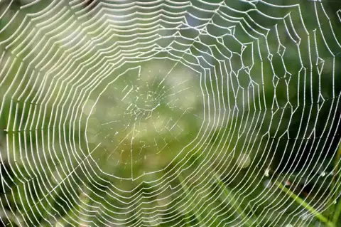 Trešdien laikapstākļi pakāpeniski uzlabosies