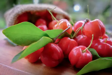 Аcerolа Sweet: veselība ar ķiršu garšu