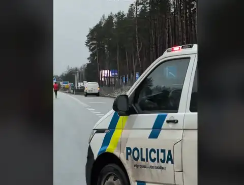 Входит, но не выходит: в Кекаве перекрыли дорогу ради спасения косули. ВИДЕО
