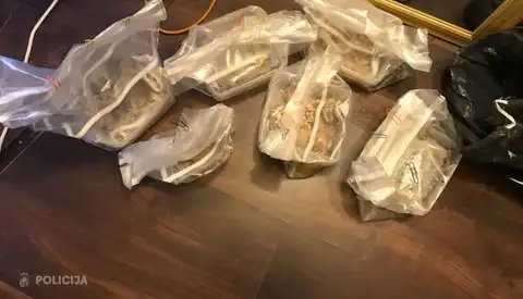 На Югле за выращивание галлюциногенных грибов задержали юношу