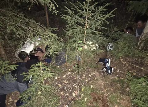 В Литве задержали сбежавших из Латвии просителей убежища