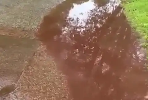 Жители в ужасе: из канализации хлынула красно-бурая жижа