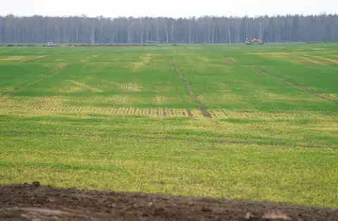 «Облаков много, но дождя почти нет» — обещают синоптики