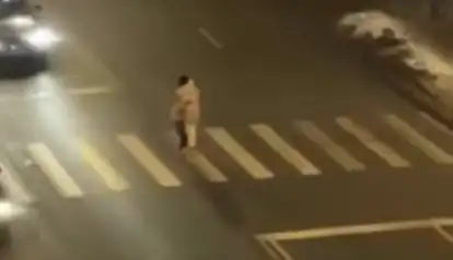 Дикое видео: мама переносит малыша через дорогу (ВИДЕО)