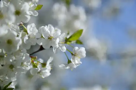 Pirmo reizi šajā gadā gaisa temperatūra Latvijā pakāpusies virs +20 grādiem