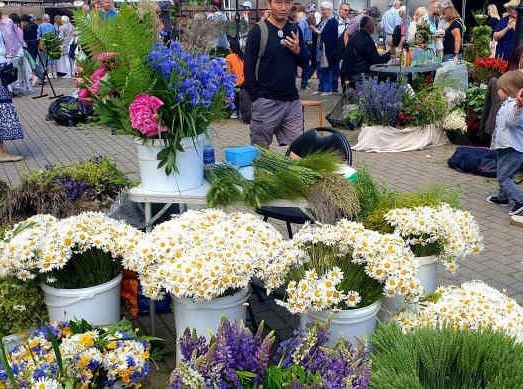 Цветы на латвийском прилавке: откуда и какие лучше выбрать