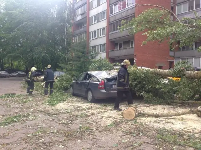 Во время урагана затоплено 140 гектаров территории Латвии: спасатели