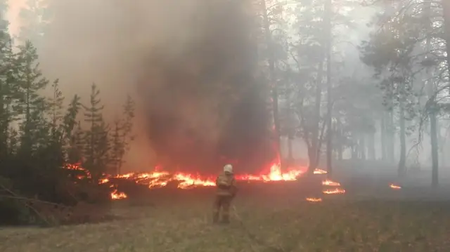 Тушение пожара в Олайнском крае все еще продолжается: горят 58 га леса