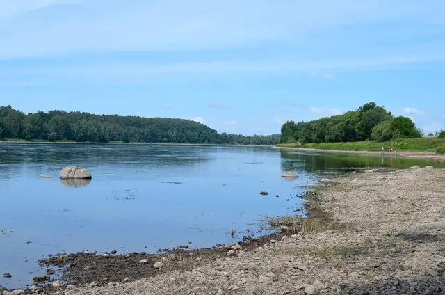 Всё больше рижских пляжей захватывают опасные водоросли