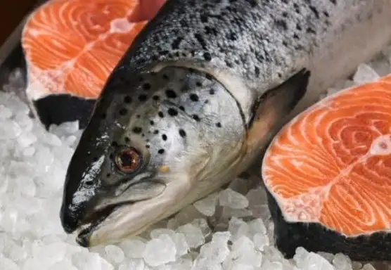 Рыбка дорогая, но с душком: покупая продукты, не забывайте посмотреть срок годности