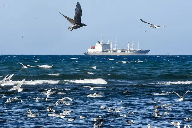 Pirms noplūdes «Balticconnector» tuvumā atradies Krievijas kravas kuģis