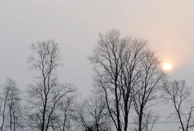 Piektdien Latvijā uzspīdēs saule