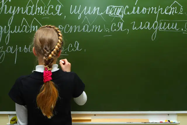 «Всем будет лучше без школ для русского меньшинства». Литовский министр ищет законный способ закрыть школы