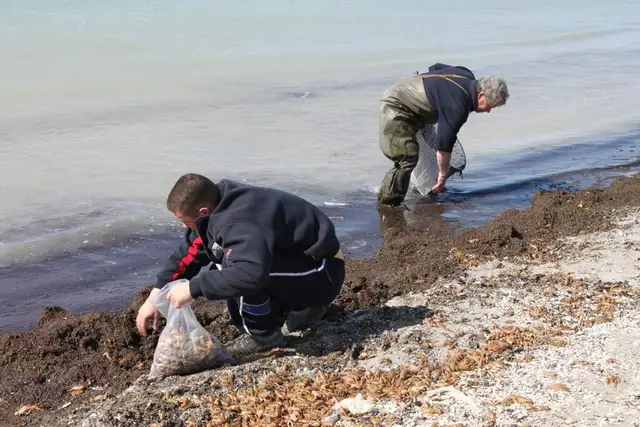 Берег Каспийского моря усыпало раками (ВИДЕО)