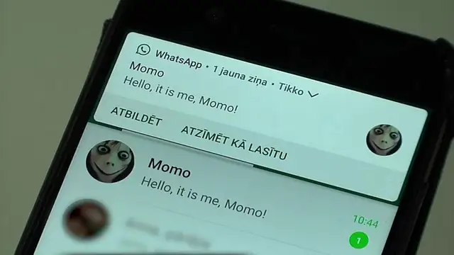 Интернет-игра Момо уже в Латвии: девочка начала резать себе руки