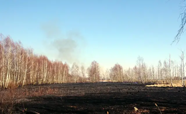 Пожар на Спилвских лугах удалось локализовать: выгорело 54 га земли