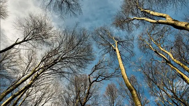 Ceturtdiena būs vējaina, Kurzemē gaiss iesils līdz +12 grādiem