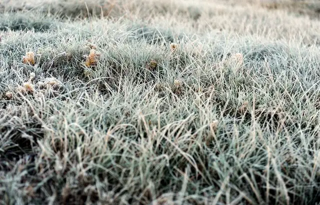Naktī valsts lielākajā daļā gaisa temperatūra noslīdēs zem nulles