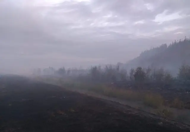 Четвертого американца, пропавшего на учениях в Пабраде, водолазы будут искать и ночью