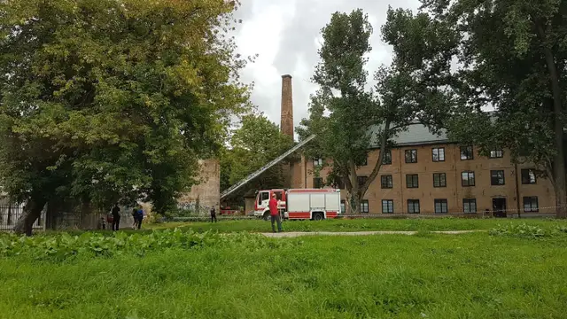 ЧП в Ильгюциемсе: на здание упало дерево. ФОТО
