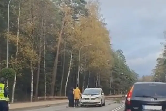 Воскресная буря: ветер свалил дерево прямо на проезжающее авто (ВИДЕО)