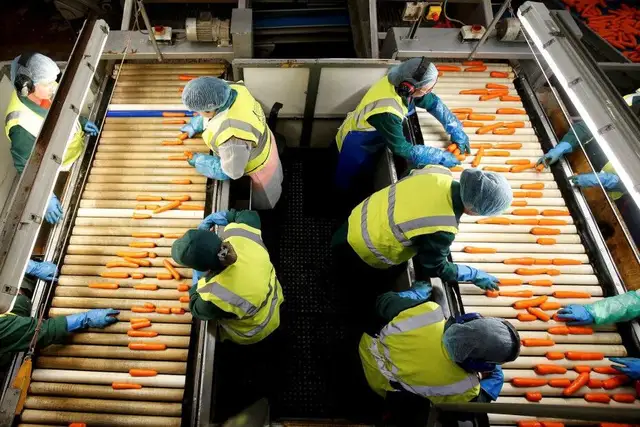Reģistrētā bezdarba līmenis Latvijā jūnija beigās pieaudzis līdz 5%