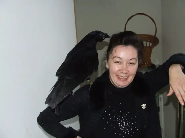 Зверушки Елены Кустовой: многие из них уже снялись в фильмах, в том числе зарубежных