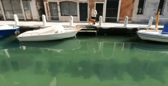 Исчезли туристы: жители Венеции показали, какой прозрачной стала вода в каналах. ВИДЕО