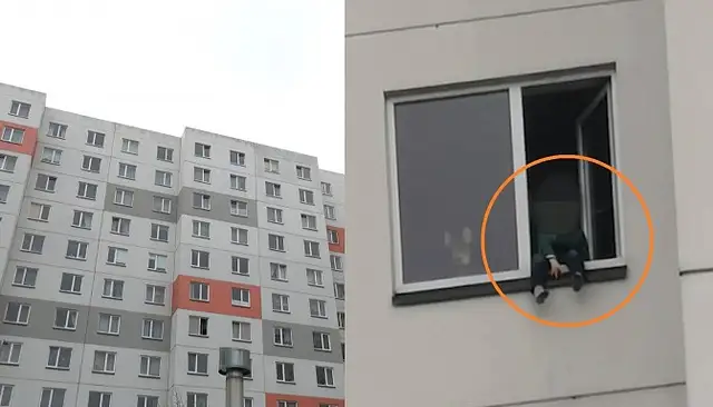 Собака стала лаять и спасла малыша: в Риге ребенок чуть не выпал с 12 этажа